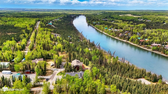 34952 Treeline Ave, Soldotna, AK 99669 - bird's eye view of a forest and a nearby body of water