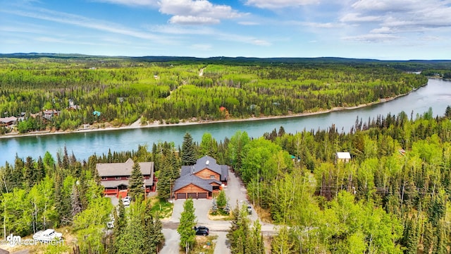 34952 Treeline Ave, Soldotna, AK 99669 - bird's eye view of a forest and a large body of water