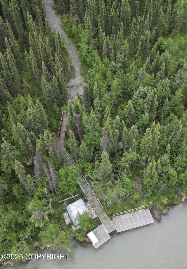34952 Treeline Ave, Soldotna, AK 99669 - drone / aerial view
