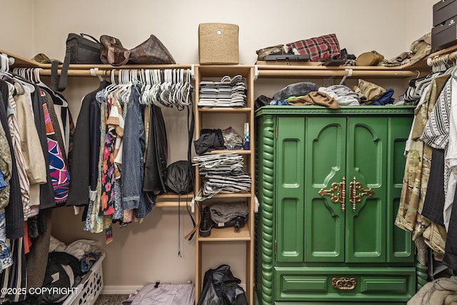 9650 E Forest Grove Cir # 10B, Palmer, AK 99645 - view of walk in closet