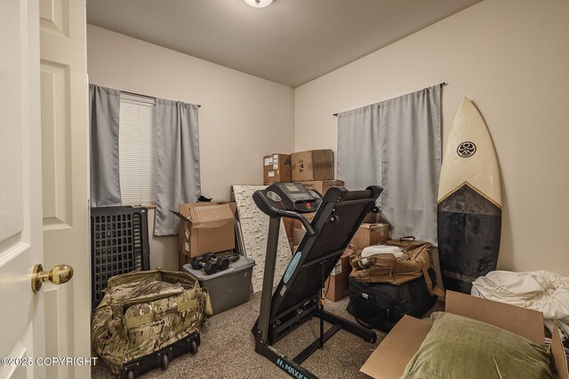 9650 E Forest Grove Cir # 10B, Palmer, AK 99645 - workout area with carpet floors