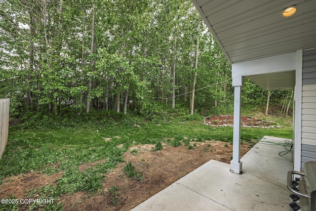 9650 E Forest Grove Cir # 10B, Palmer, AK 99645 - view of yard with a patio area