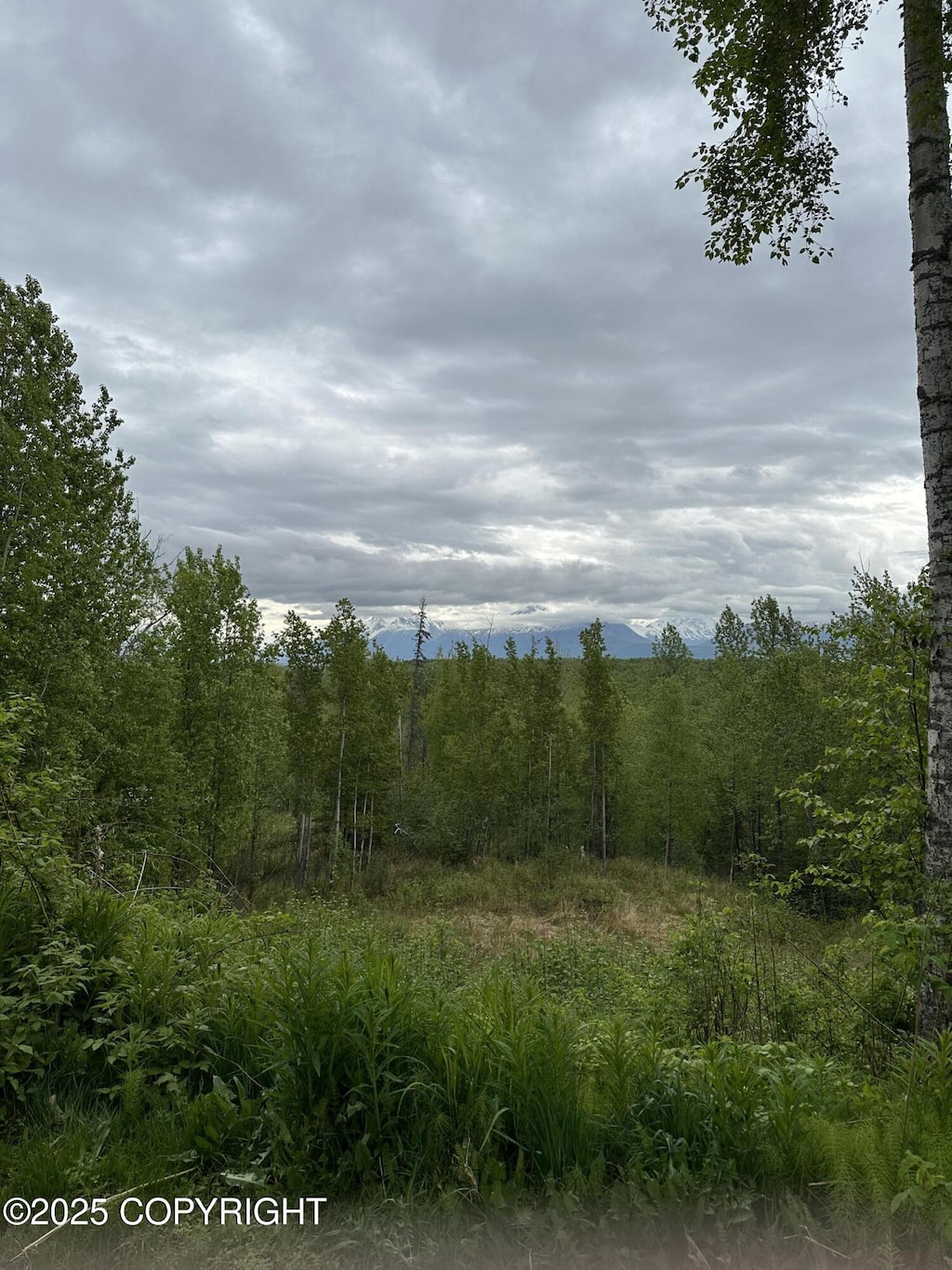 4851 S Outrigger Dr, Wasilla, AK 99623