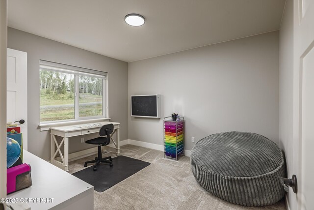 3452 W Charlies Ridge Dr, Wasilla, AK 99623 - photo 28