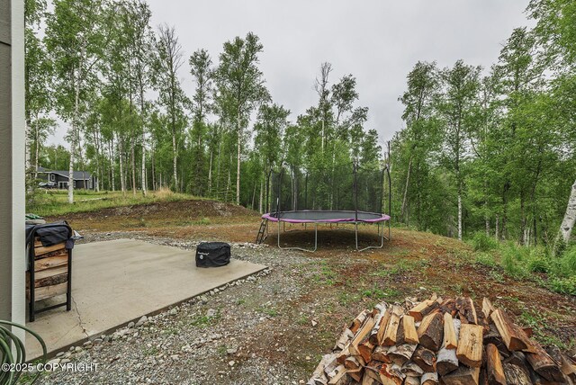 3452 W Charlies Ridge Dr, Wasilla, AK 99623 - photo 31