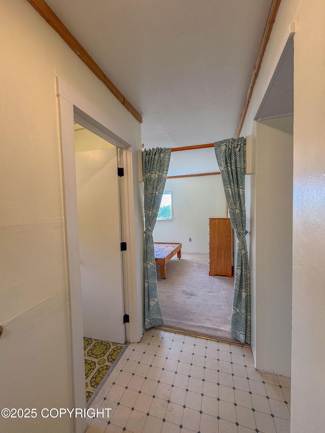 4075 Mattox Rd, Homer, AK 99603 - bathroom with tile patterned floors