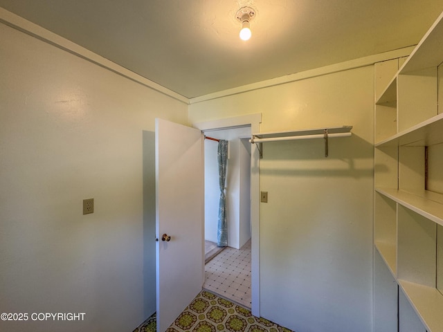 4075 Mattox Rd, Homer, AK 99603 - view of walk in closet