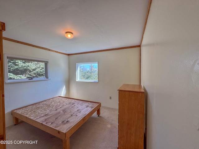4075 Mattox Rd, Homer, AK 99603 - bedroom with light carpet and crown molding