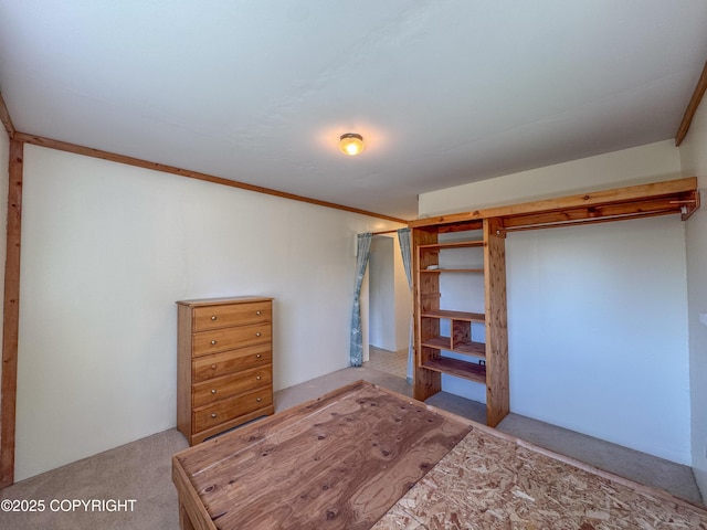 4075 Mattox Rd, Homer, AK 99603 - unfurnished bedroom featuring carpet