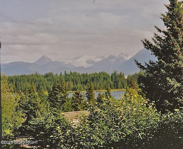 4075 Mattox Rd, Homer, AK 99603 - view of mountain background featuring a forest and a large body of water