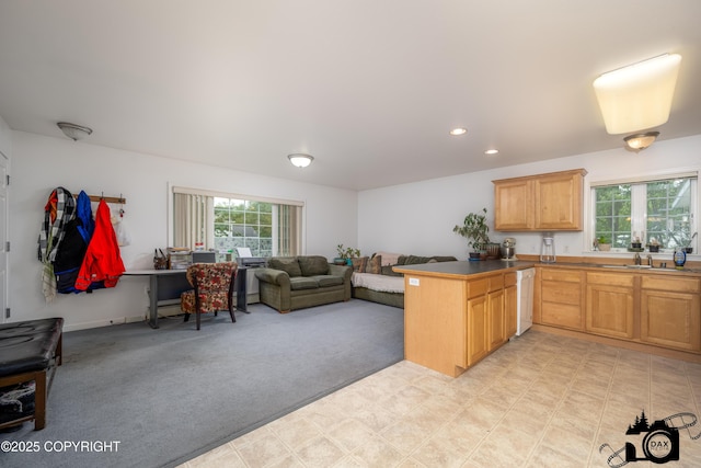 500 W Roy Rd, Wasilla, AK 99654 - kitchen featuring dishwasher, open floor plan, a peninsula, healthy amount of natural light, and recessed lighting