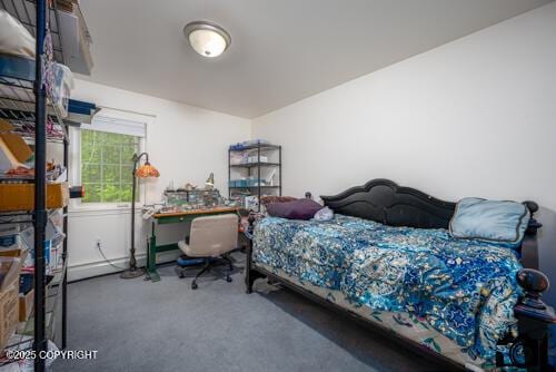 500 W Roy Rd, Wasilla, AK 99654 - view of carpeted bedroom
