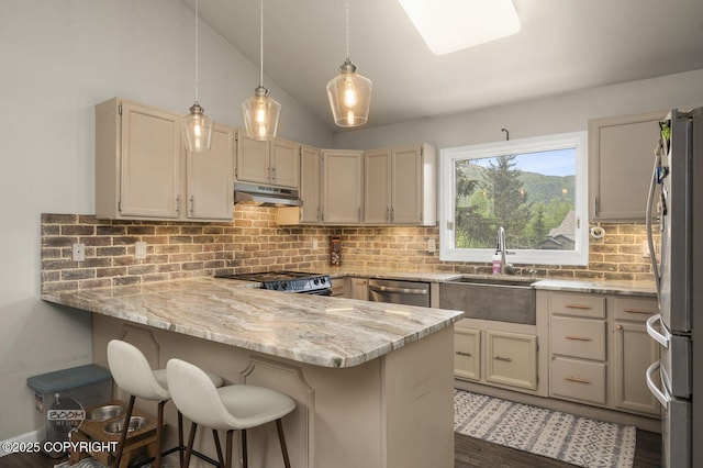 19113 Sarichef Loop, Eagle River, AK 99577 - kitchen featuring appliances with stainless steel finishes, under cabinet range hood, a peninsula, decorative backsplash, and a sink