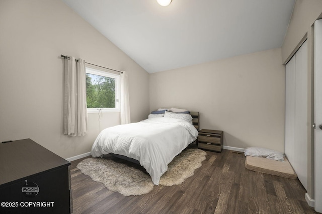 19113 Sarichef Loop, Eagle River, AK 99577 - bedroom with lofted ceiling, wood finished floors, baseboards, and a closet