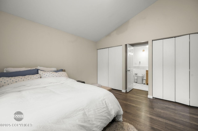 19113 Sarichef Loop, Eagle River, AK 99577 - bedroom featuring two closets, wood finished floors, ensuite bathroom, and high vaulted ceiling