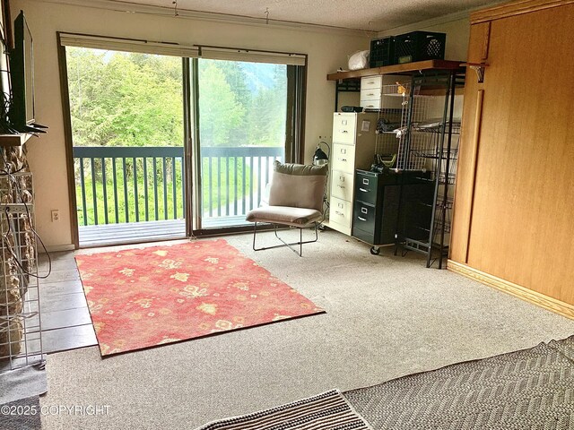 282 Crystal Mountain Rd # 200, Girdwood, AK 99587 - photo 7