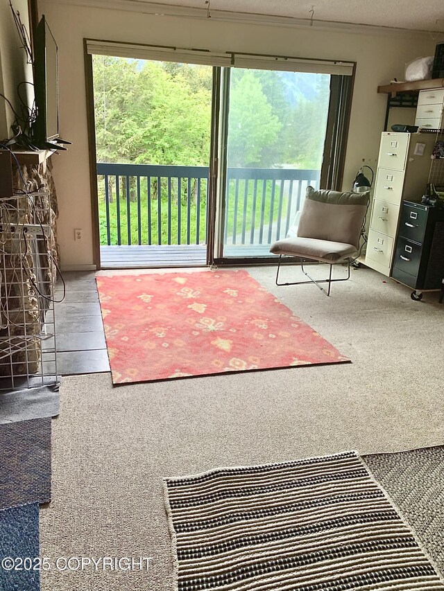 282 Crystal Mountain Rd # 200, Girdwood, AK 99587 - photo 9