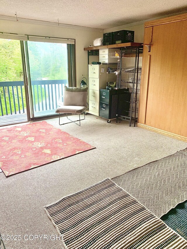 282 Crystal Mountain Rd # 200, Girdwood, AK 99587 - photo 10
