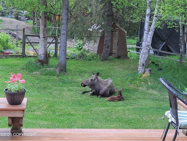 12944 Ridgeview Dr, Anchorage, AK 99516 - view of yard