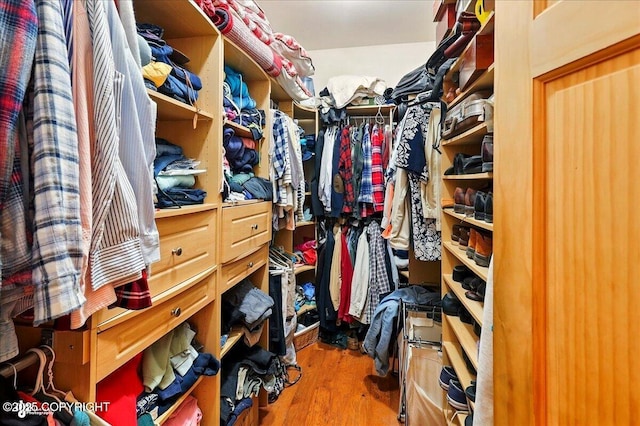 22325 Sterling Hwy, Ninilchik, AK 99639 - walk in closet featuring wood finished floors