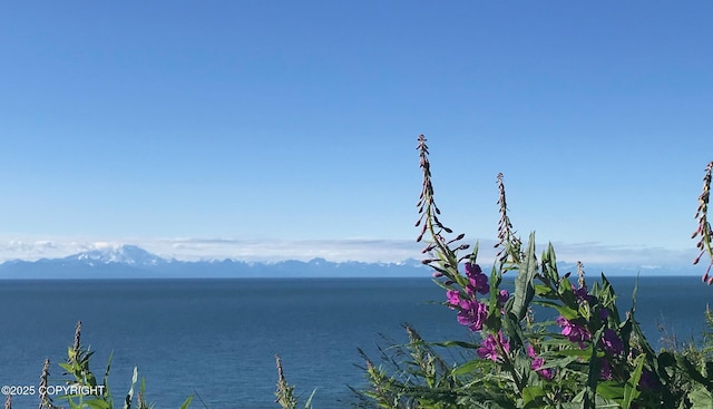 22325 Sterling Hwy, Ninilchik, AK 99639 - water view