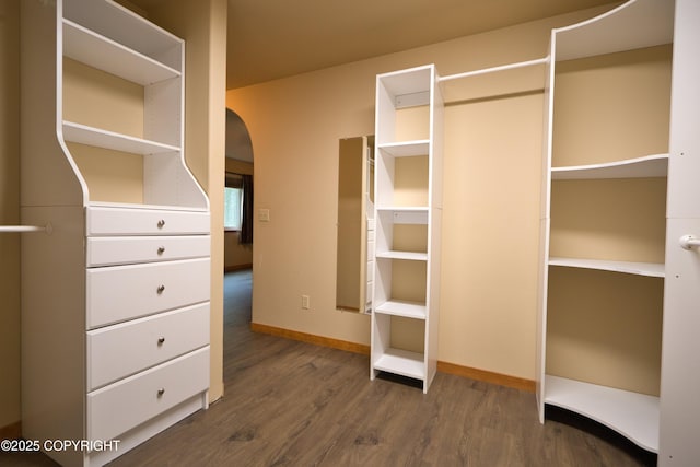 11838 N Hagion Shores Dr, Willow, AK 99688 - walk in closet with dark wood finished floors and arched walkways