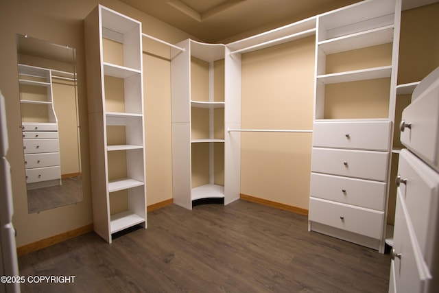 11838 N Hagion Shores Dr, Willow, AK 99688 - walk in closet with dark wood-type flooring