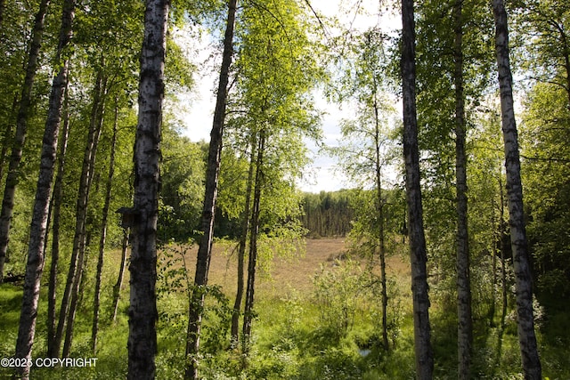 11838 N Hagion Shores Dr, Willow, AK 99688 - view of woods
