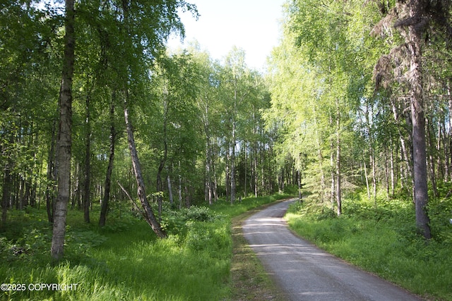 11838 N Hagion Shores Dr, Willow, AK 99688 - view of road featuring a wooded view