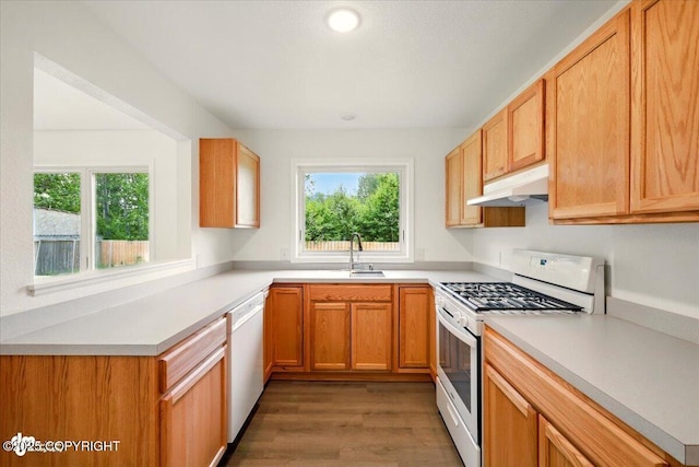 557 N Glenn Hwy, Palmer, AK 99645 - kitchen with white appliances, under cabinet range hood, a sink, and healthy amount of natural light