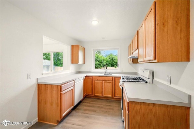 557 N Glenn Hwy, Palmer, AK 99645 - kitchen featuring gas range, white dishwasher, a sink, and healthy amount of natural light