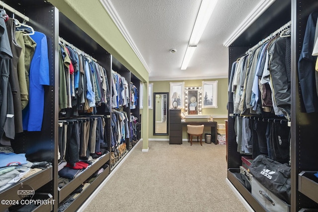 4745 Manytell Ave, Anchorage, AK 99516 - walk in closet featuring carpet