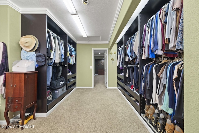 4745 Manytell Ave, Anchorage, AK 99516 - spacious closet featuring carpet