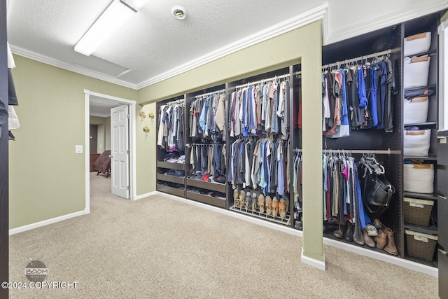 4745 Manytell Ave, Anchorage, AK 99516 - spacious closet featuring carpet flooring