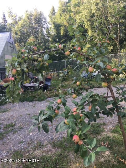 4745 Manytell Ave, Anchorage, AK 99516 - view of yard