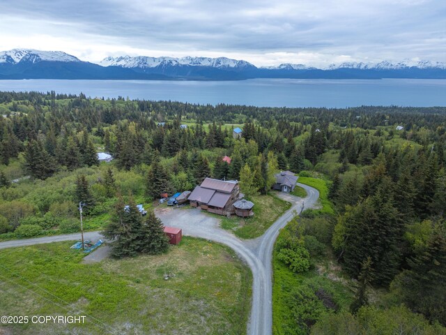 53665 Marimac Ave, Homer, AK 99603 - photo 64