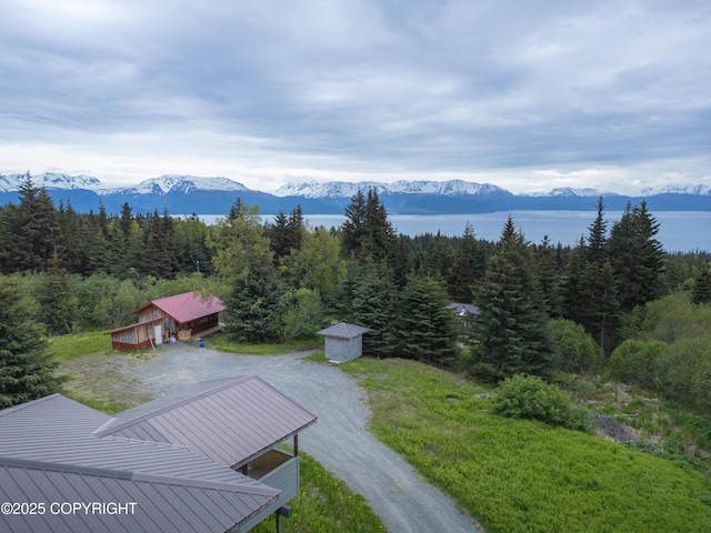53665 Marimac Ave, Homer, AK 99603 - photo 47