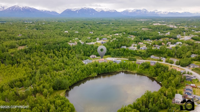118 S Vickie Cir, Palmer, AK 99645 - drone / aerial view of a water and mountain view and a heavily wooded area