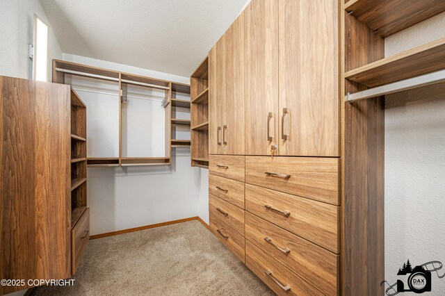 118 S Vickie Cir, Palmer, AK 99645 - spacious closet featuring light colored carpet