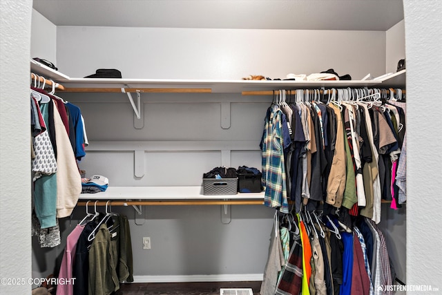 7490 W Rodney Cir, Wasilla, AK 99623 - view of walk in closet