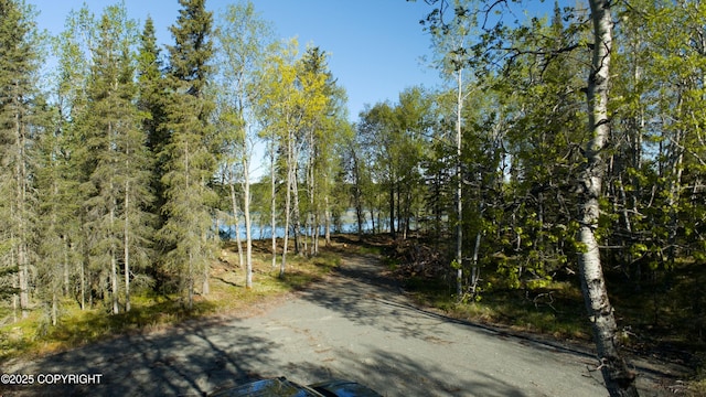 L33 Red Fox Ln, Kasilof, AK 99610
