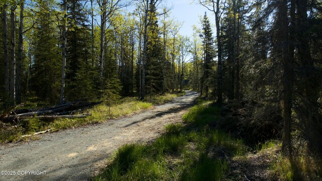 L33 Red Fox Ln, Kasilof, AK 99610