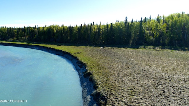 L33 Red Fox Ln, Kasilof, AK 99610