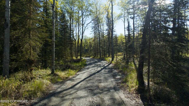 L33 Red Fox Ln, Kasilof, AK 99610
