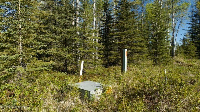 L33 Red Fox Ln, Kasilof, AK 99610