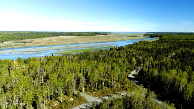 L33 Red Fox Ln, Kasilof, AK 99610