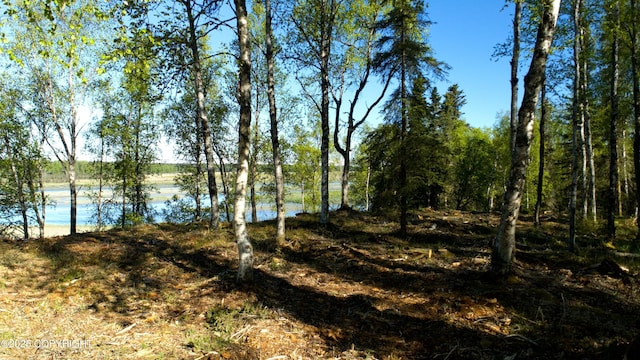 L33 Red Fox Ln, Kasilof, AK 99610