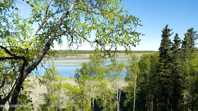 L33 Red Fox Ln, Kasilof, AK 99610