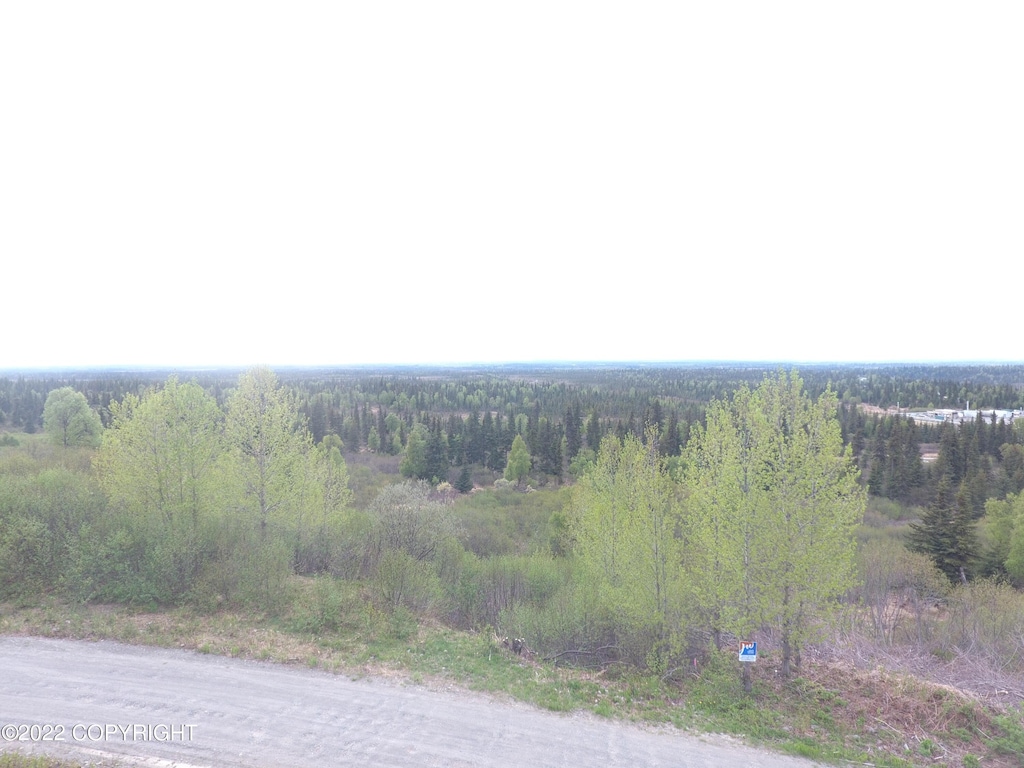 L12B Holly Ln, Anchor Point, AK 99556