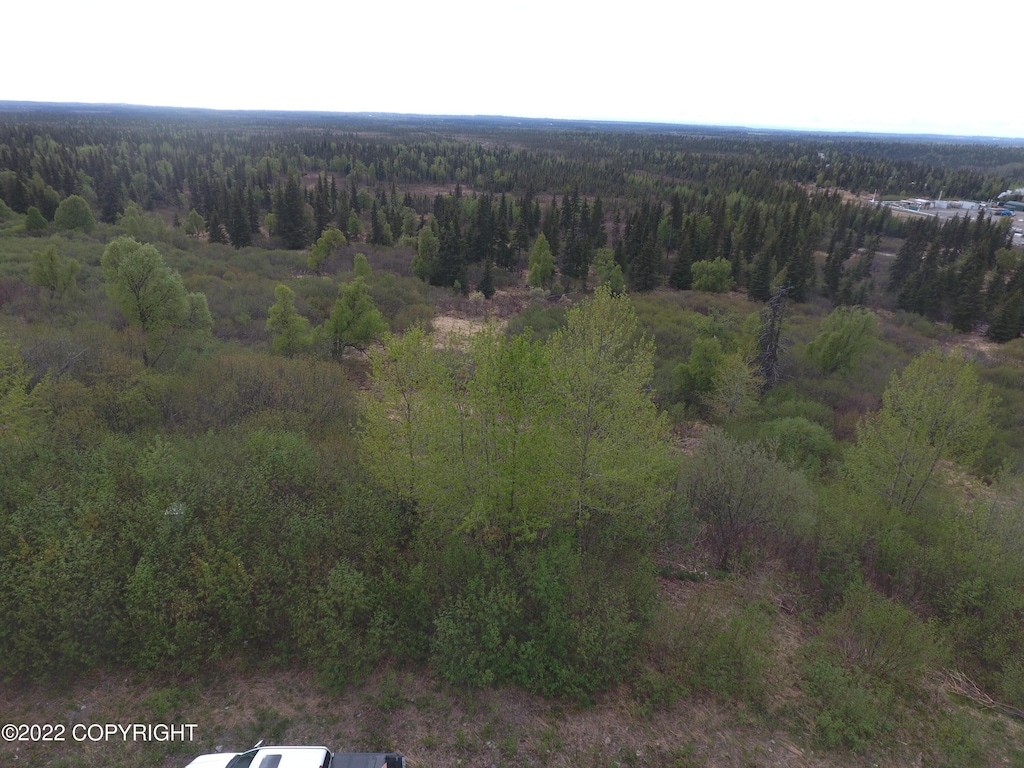 L12B Holly Ln, Anchor Point, AK 99556